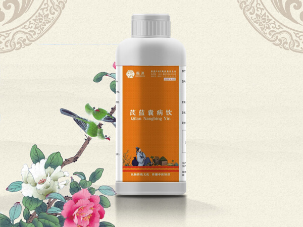 芪蓝囊病饮